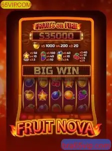 Explorando o Mundo do Jogo FruitNova e as Oportunidades em 65VIP.COM